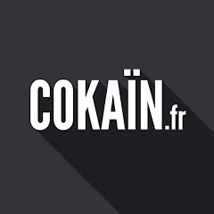 Cokaïn.fr net worth