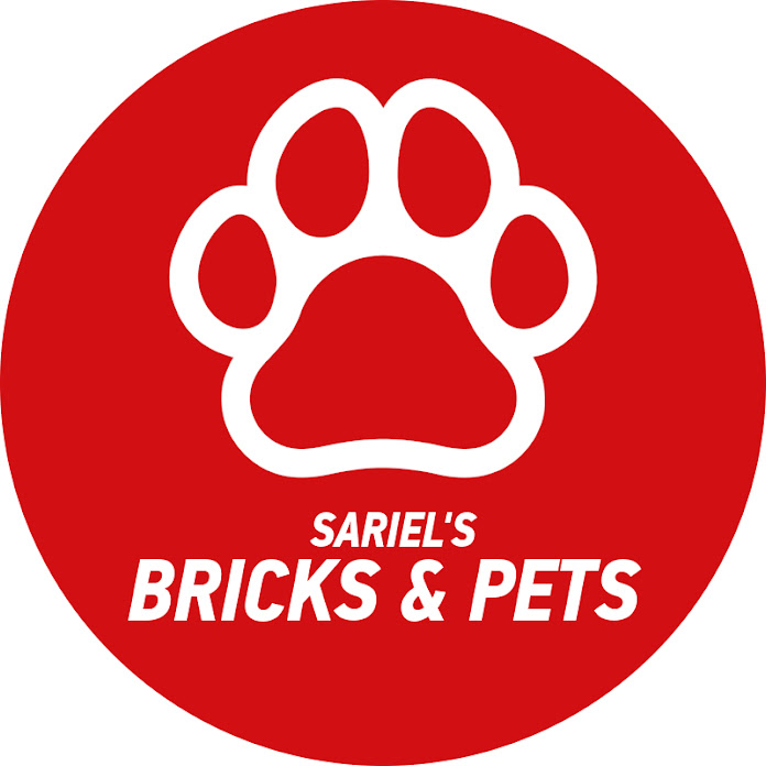 Sariel's Bricks & Pets Net Worth & Earnings (2024)