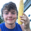 What could Cole The Cornstar buy with $391.41 thousand?