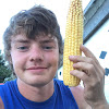 What could Cole The Cornstar buy with $391.4 thousand?