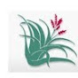 Dade Chapter Florida Native Plant Society YouTube Profile Photo