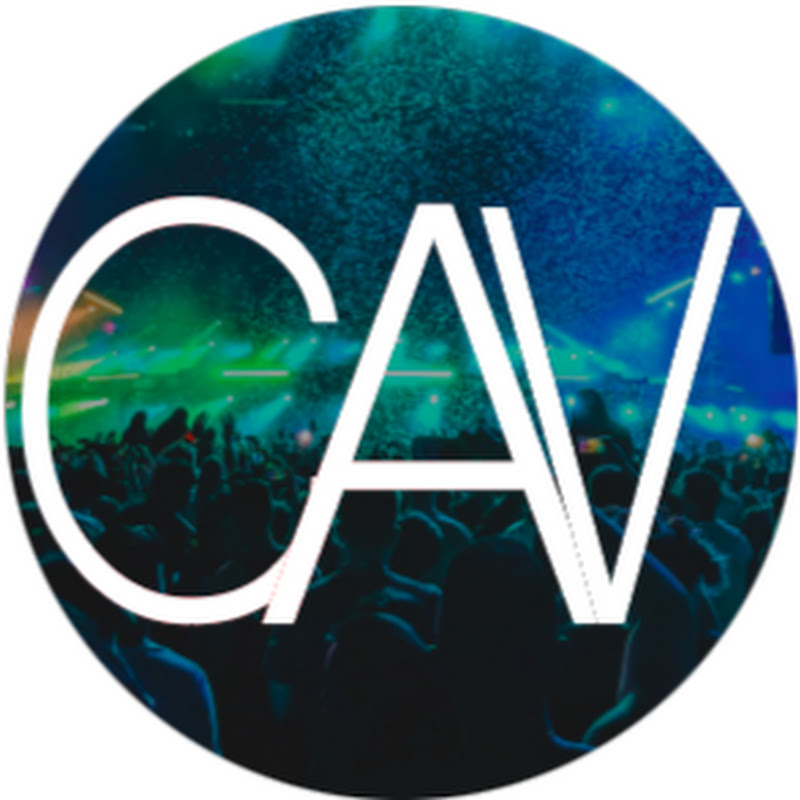 Concert Audience Views