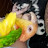 birdn4t0r Avatar