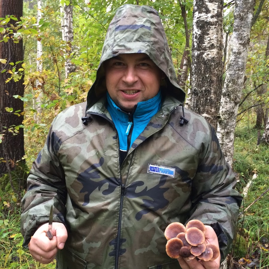 Седых проект надежда 2