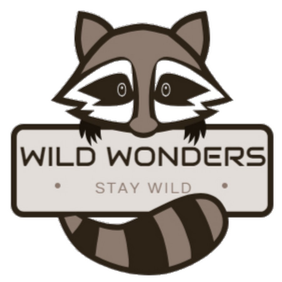 Wild Wonders - YouTube