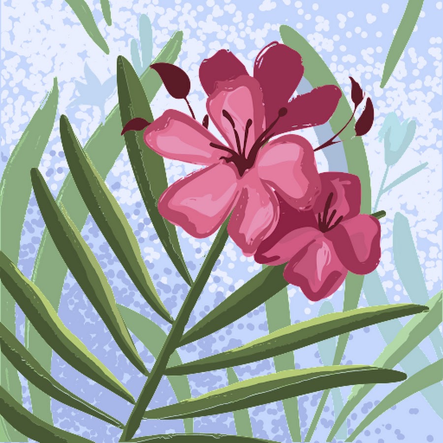 AMLnZu9Nsvy9GHdIWYZ_2FZcWGL5dpckKR_9xLNbMXKPjw=s900ckc0x00ffffffnorj