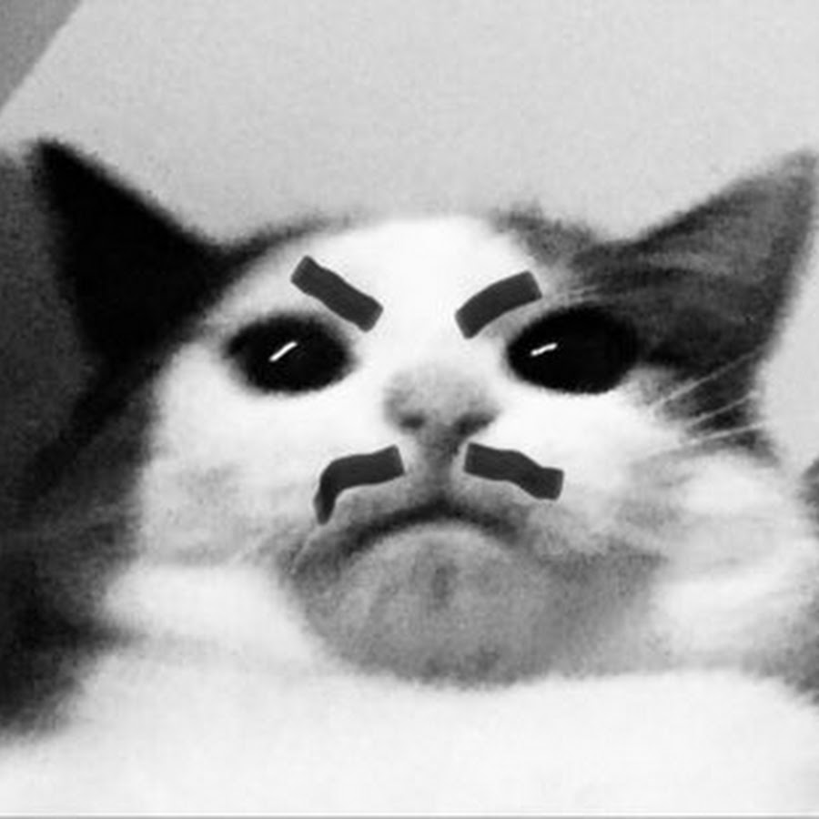 AMLnZu9PLz47hsfKl9O7LHdpAmz8FT6va5INk6MP1B=s900ckc0x00ffffffnorj