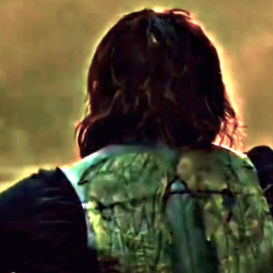 Австралопитек бойса. Австралопитек робустус. Парантропы. Австралопитек афарский люси. Австралопитеки гоминид.