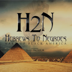 Hebrews to Negroes TV aka MOSES LEVI net worth