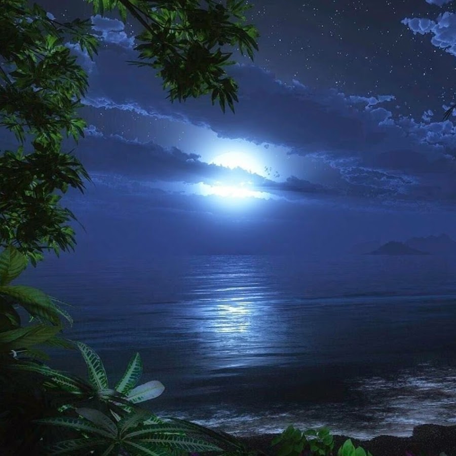 Небе погаснет луна. Ночная природа картинки. Картина Луна и море. Лунное отражение в воде. Картинки ночная природа в неоновых цветах.