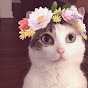 Cooper Cats YouTube Profile Photo