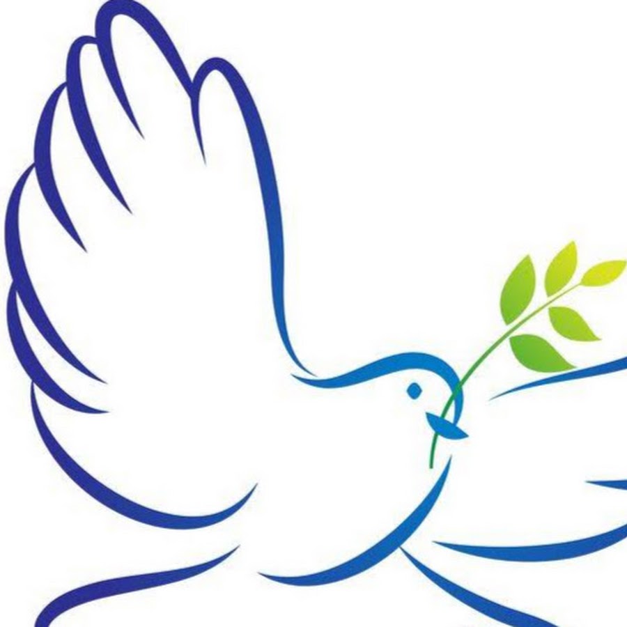 Голубь мира картинка для детей на прозрачном фоне