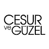 What could Cesur ve Güzel buy with $564.06 thousand?