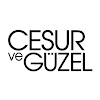 What could Cesur ve Güzel buy with $564.1 thousand?