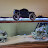 Rc enthusiast. Avatar