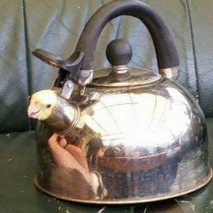 Продам чайник прикол