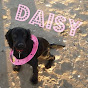 Daisy Weaver YouTube Profile Photo