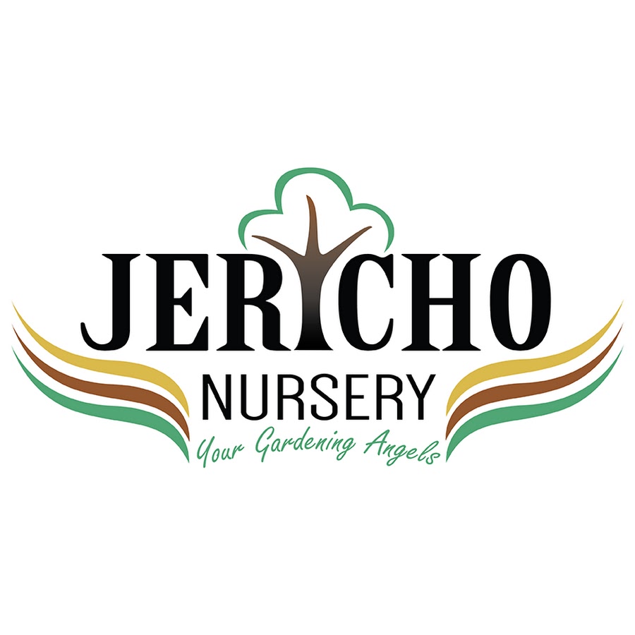 AMLnZu9UTJi3ldKWUCRZh47Os04opTRtFHcviNApJ_=s900ckc0x00ffffffnorj