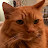 Robert Jones Avatar