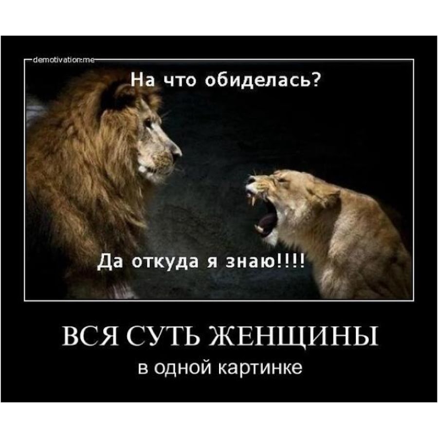 Обиделась картинки