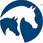 Arabian Horse Association - @aha10805 YouTube Profile Photo