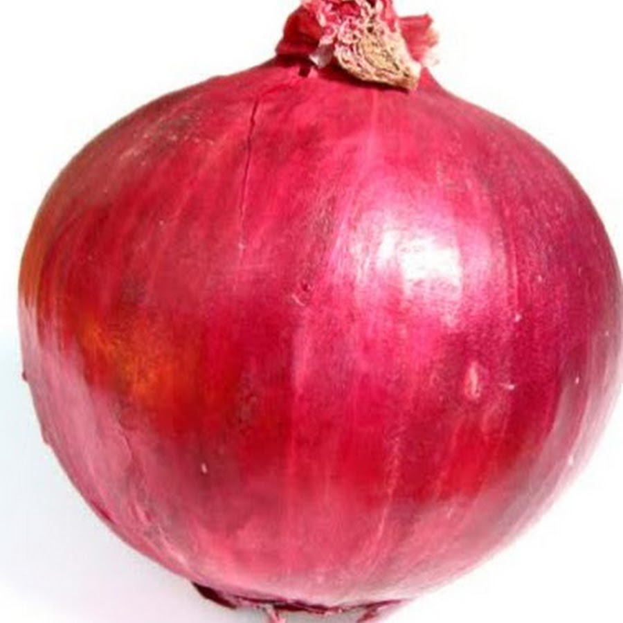 アーリーレッドくん Youtube