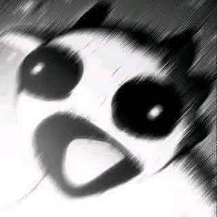 AMLnZu9WohlUh KKlElJgV7TQIWxiEt u99n0Bd2aApOLw s900 c k c0x00ffffff no rj