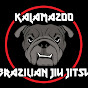 Kzoo BJJ YouTube Profile Photo