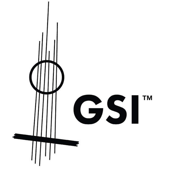 Guitar Salon International Net Worth & Earnings (2026)