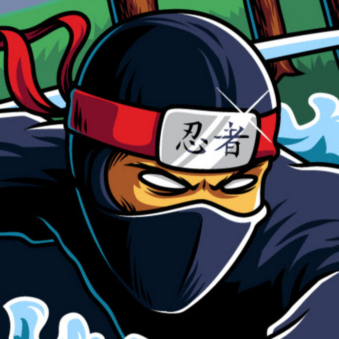 ErasableNinja Net Worth & Earnings (2025)