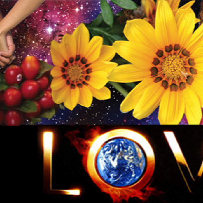 The Healthy Life Net Worth & Earnings (2026)