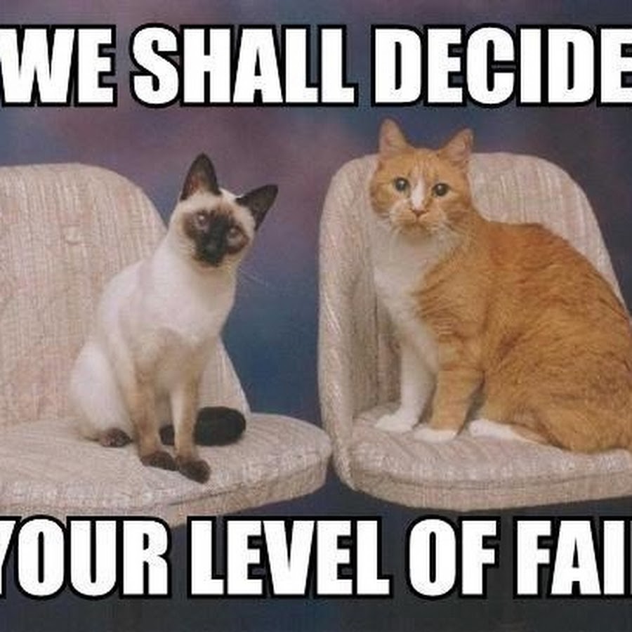 Epic fail мем. It is a fail. Fail мем. Fail. You nailed it.