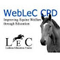 WebLeCTraining - @WebLeCTraining YouTube Profile Photo
