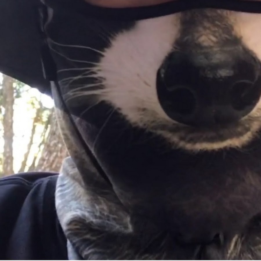 とぼとぼ徒歩 千葉q Youtube