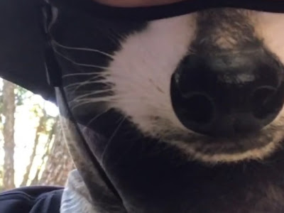 いろいろ とぼとぼ 298828-トボトボ