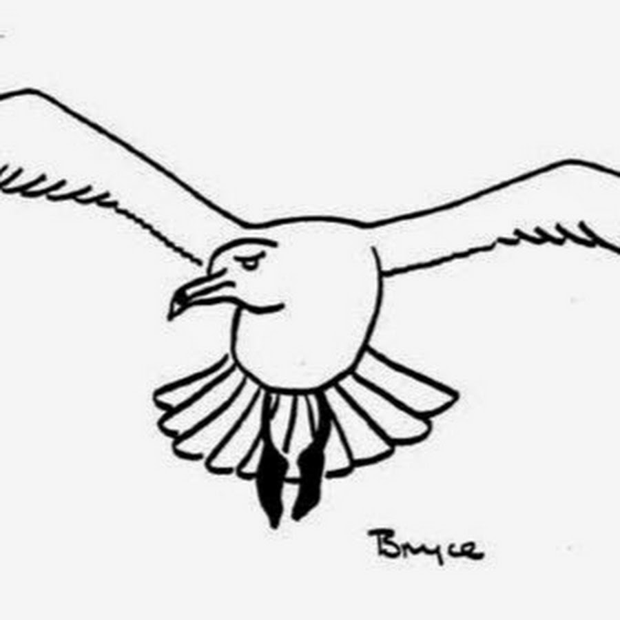 Рисунок чайки карандашом для детей