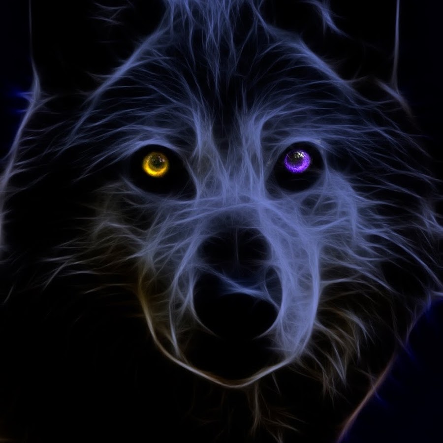 Изображения 240 на 240