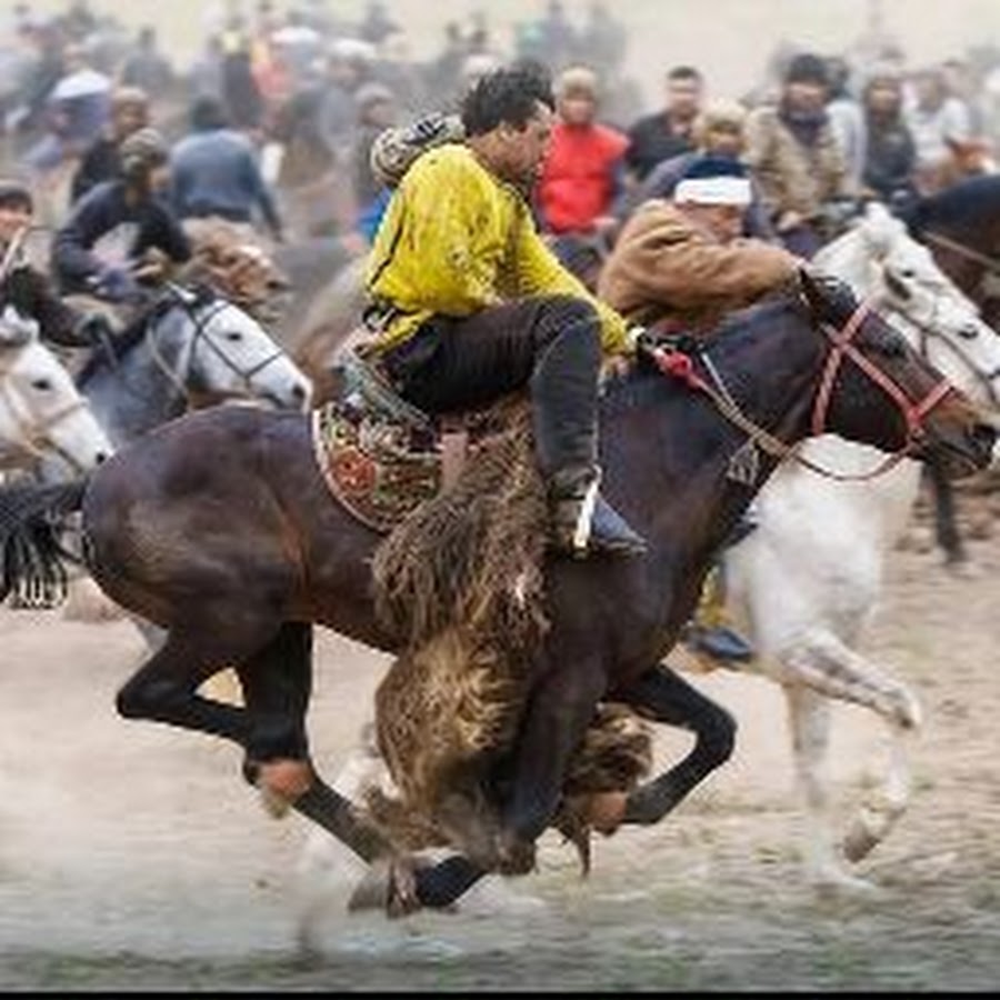 Картинка асп точики