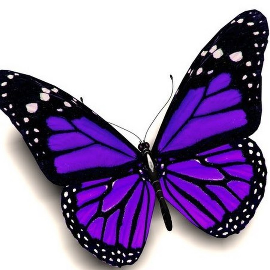 Бабочка фиолетовая для скрапа