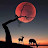 Hosh Pakamies Avatar