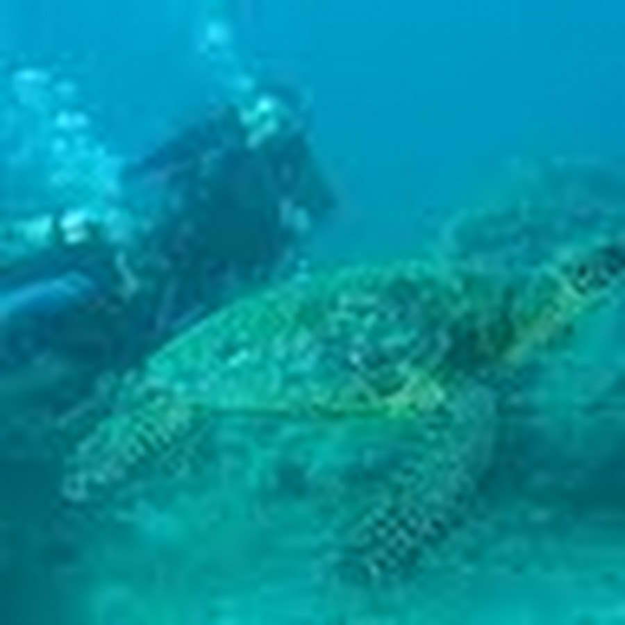 AMLnZu9_jTRFfOC4DJr485xuefQ1i_fyCQkxl2Juj4v8Foc=s900ckc0x00ffffffnorj