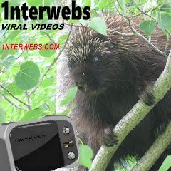 Thumbnail of related channel