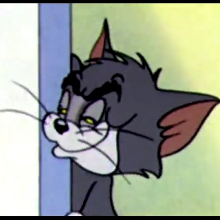amlnzu9aefysbvntly5qyzrnqqk136bpfjjcoubdtfqs-s900-c-k-c0x00ffffff-no-rj