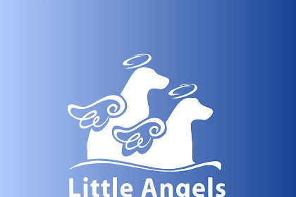 little angels service dogs nh