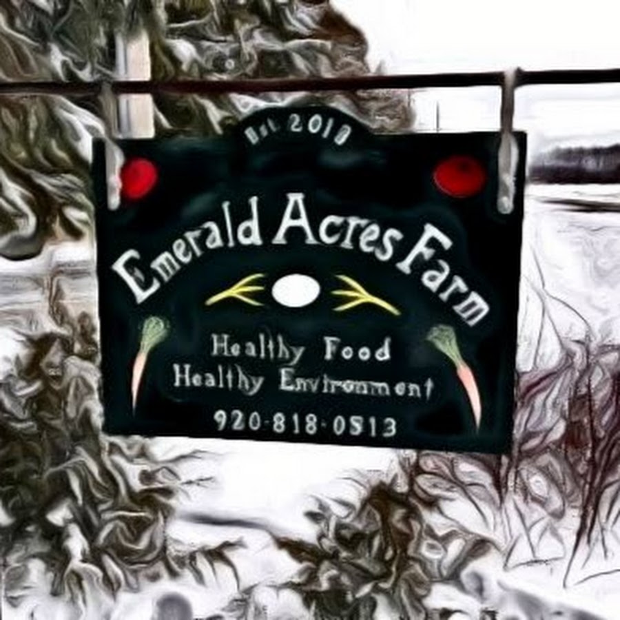 AMLnZu9anGYP43AUq45sARflYATpi4o9BXE9J0WO68_u=s900ckc0x00ffffffnorj