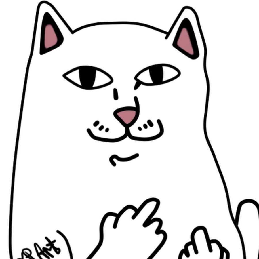 Кот с факом рисунок