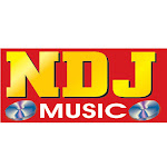 NDJ MUSIC Net Worth