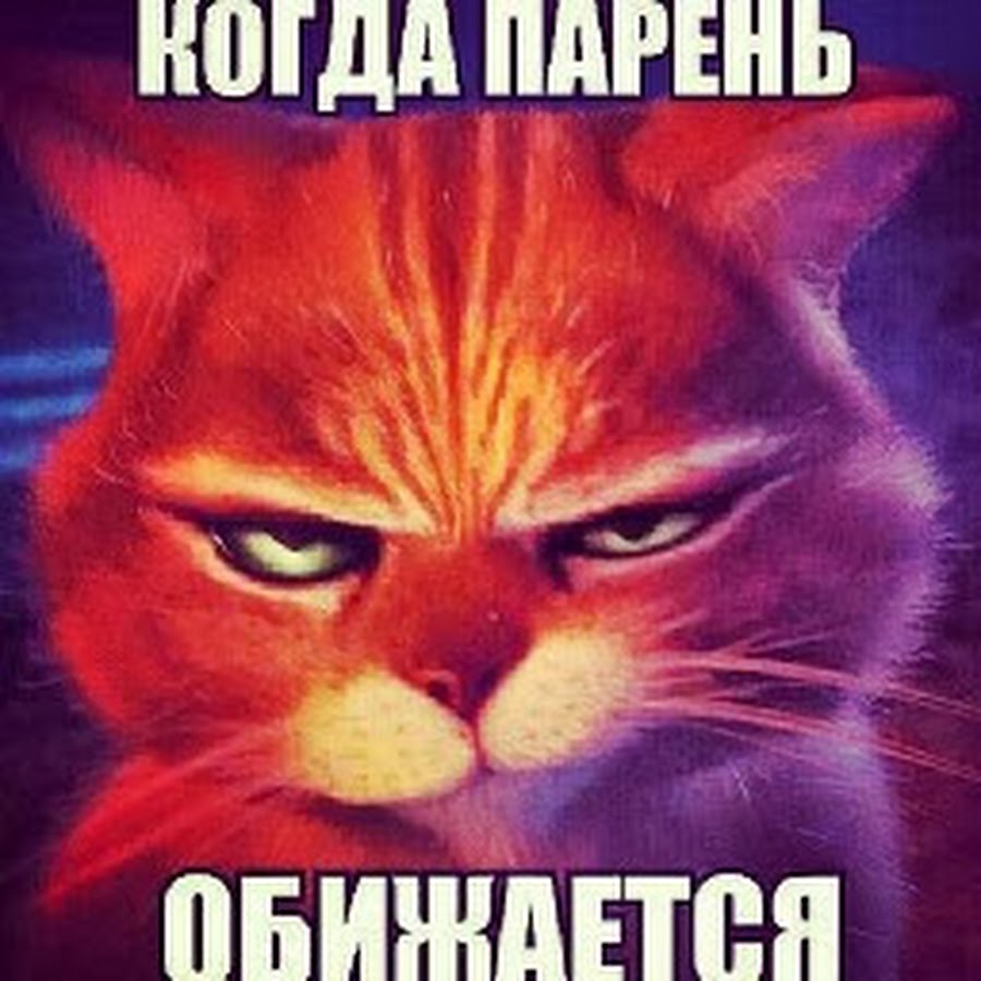 Не сердись не обижайся картинки