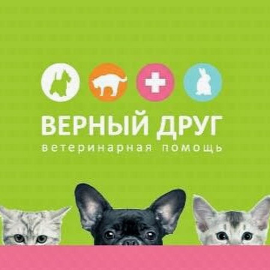 верный друг саранск режим работы ветеринарная клиника. презентация помета. верный друг режим работы. верный друг режим работы. верный друг режим работы.
