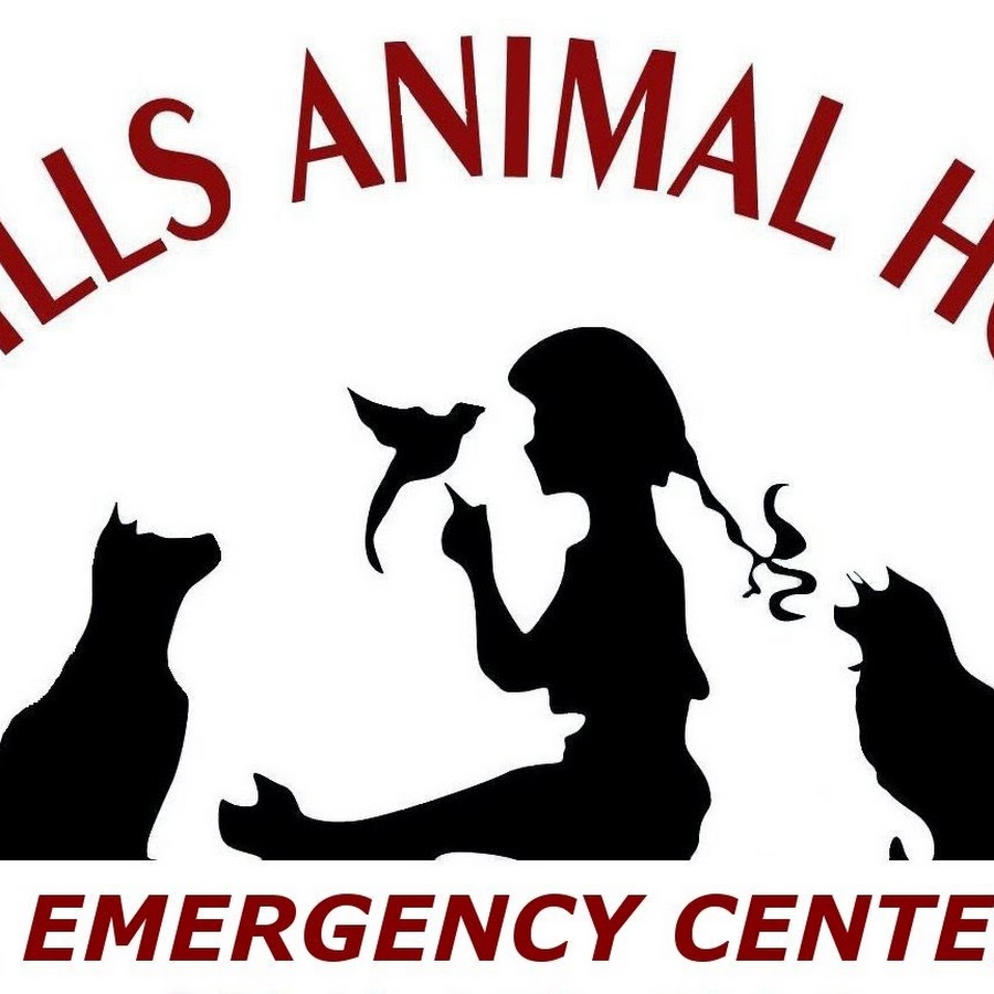 West Hills Animal Hospital - YouTube